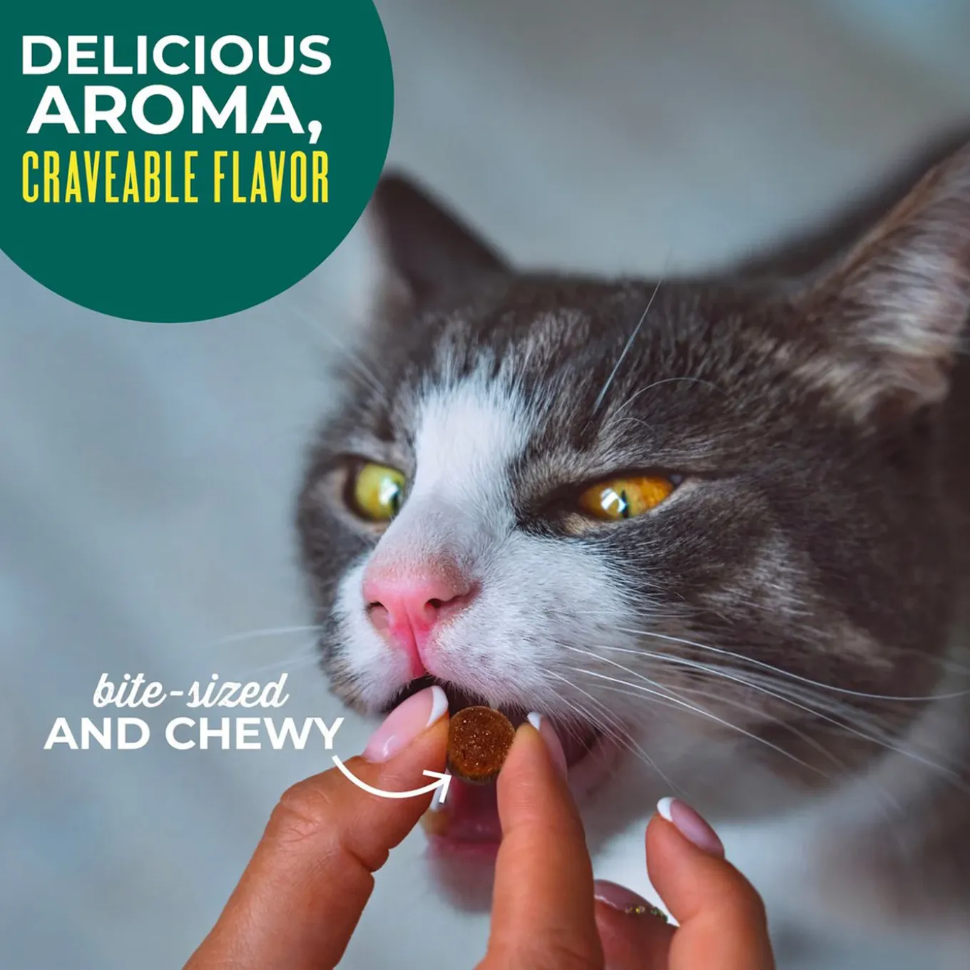 Tiki Cat Soft & Chewy Grain Free Treats for Cats