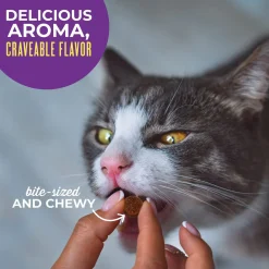 Tiki Cat Soft & Chewy Grain Free Treats for Cats