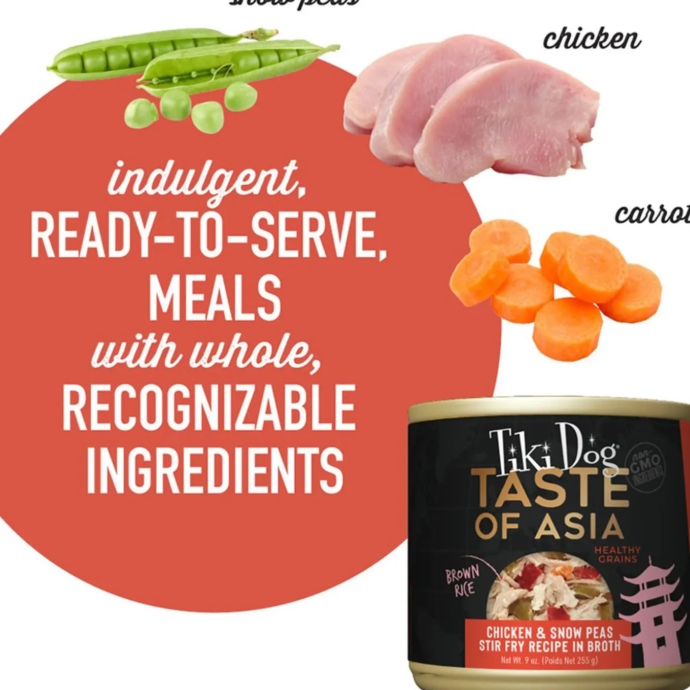 Tiki Dog Taste of The World Wet Dog Food