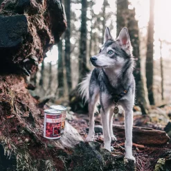 Tripett Green Tripe Canned Dog & Cat Food