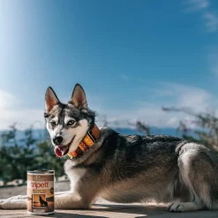 Tripett Green Tripe Canned Dog & Cat Food