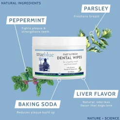 TrueBlue Fast & Fresh Dental Swipes