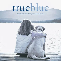 TrueBlue Fast & Fresh Dental Swipes