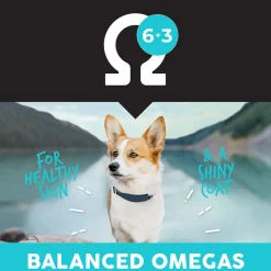 Ultimates Grain Free Adult Dry Dog Food