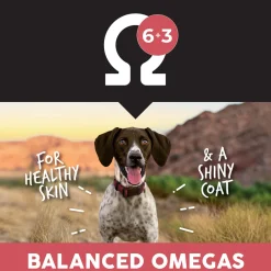 Ultimates Grain Free Adult Dry Dog Food