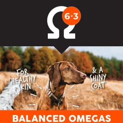 Ultimates Large Breed Chicken & Rice Dry Dog Food