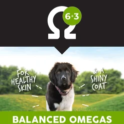 Ultimates Large Breed Puppy Chicken & Rice Dry Dog Food