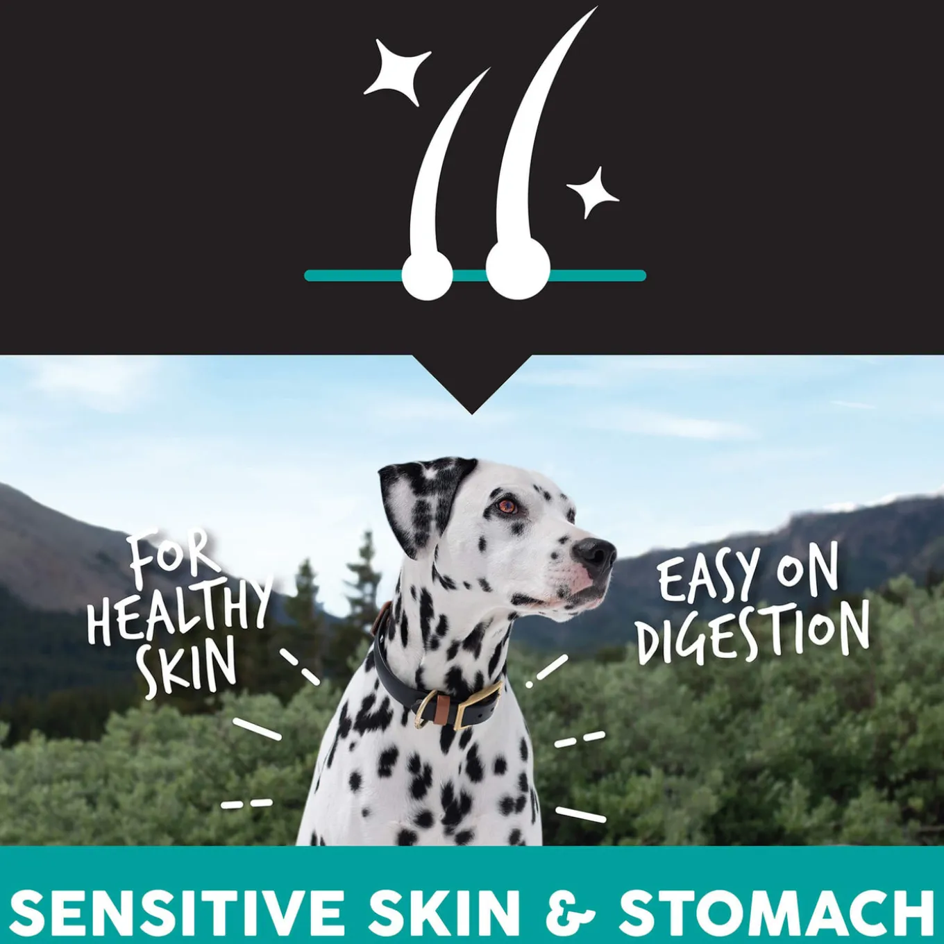 Ultimates Sensitive All Life Stages Dry Dog Food