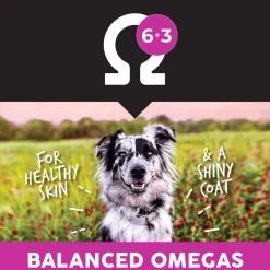Ultimates Whole Grain Adult Dry Dog Food