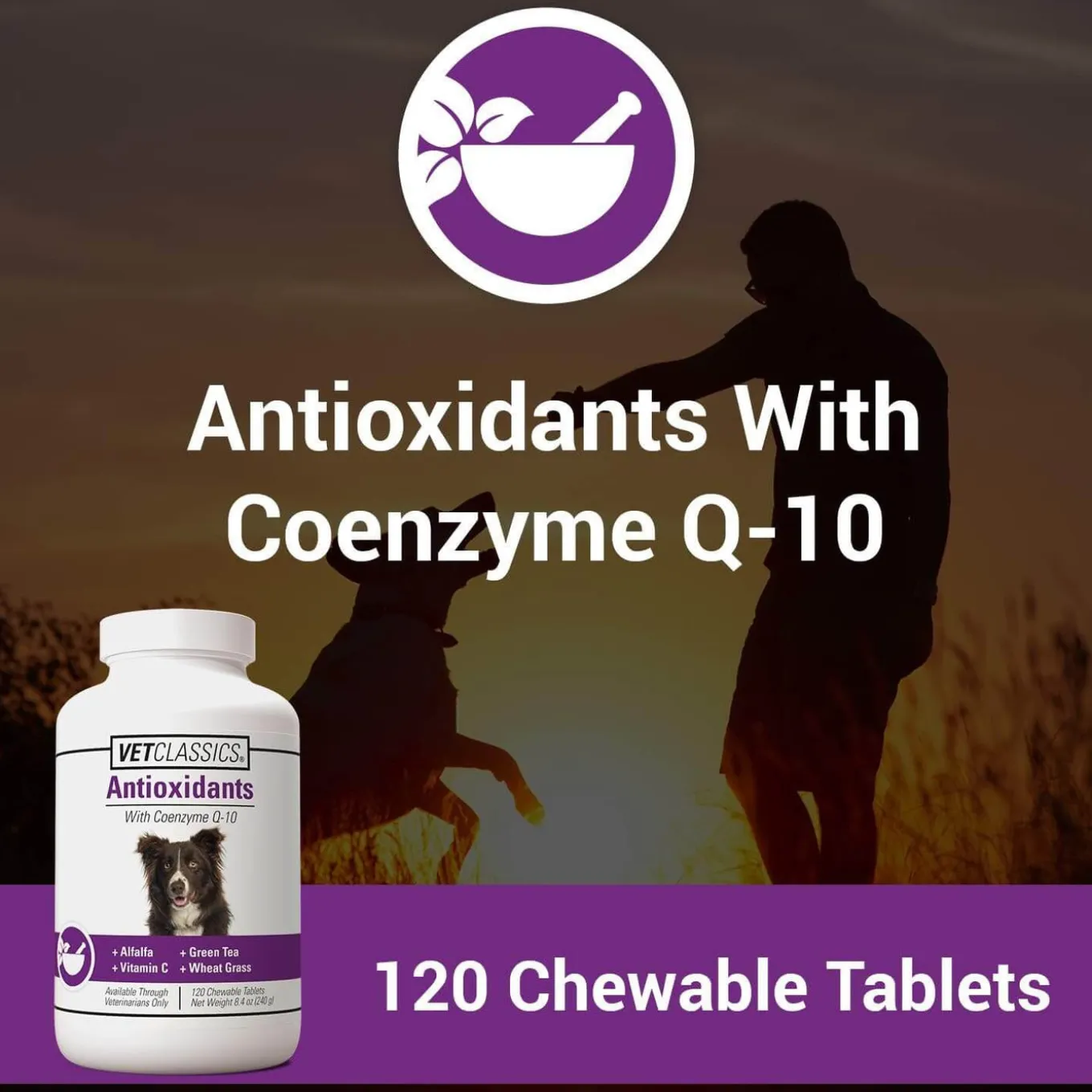 VetClassics Antioxidant Formula Dog Supplement