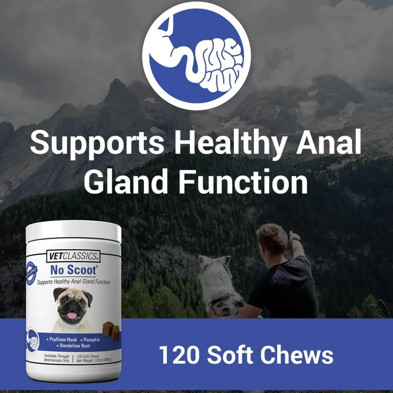 VetClassics No Scoot Dog Supplement