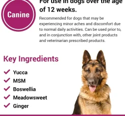 Vet Classics Pain Plus Supplement for Dogs