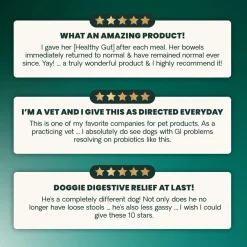 VetriScience Extra Strength Gut Health Dog & Cat Supplement