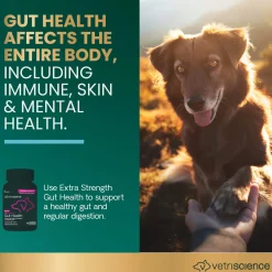 VetriScience Extra Strength Gut Health Dog & Cat Supplement