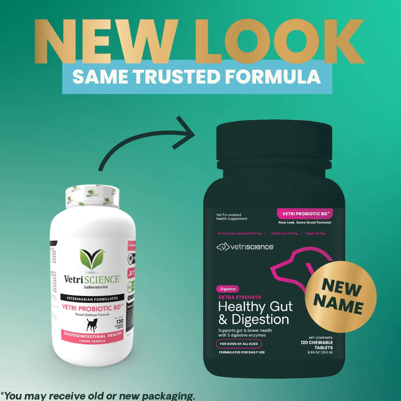 VetriScience Extra Strength Healthy Gut & Digestion Supplement for Dogs