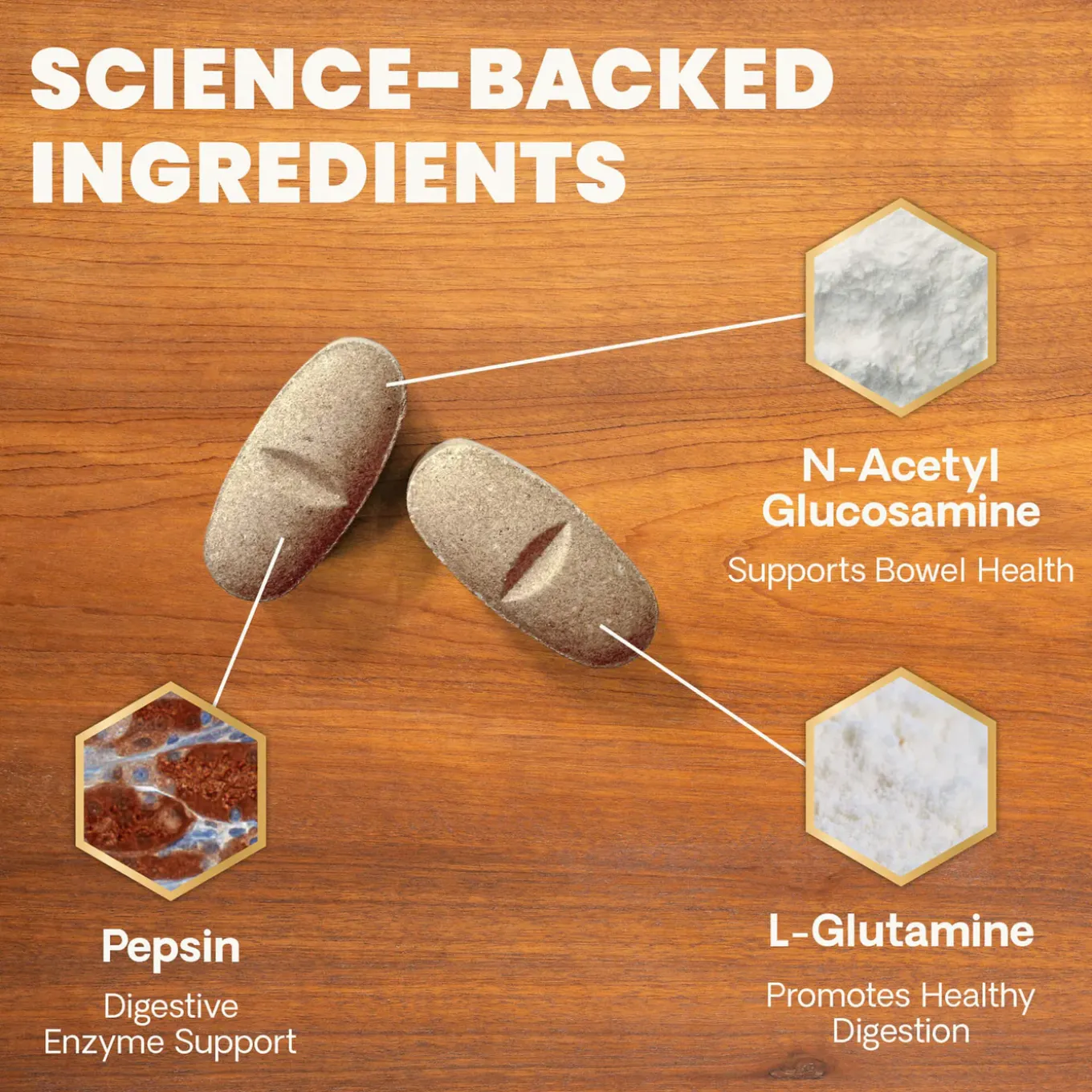 VetriScience Extra Strength Healthy Gut & Digestion Supplement for Dogs