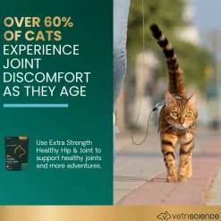 VetriScience Healthy Hip & Joint Supplements for Cats