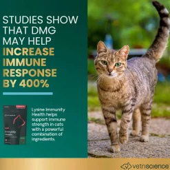 VetriScience Lysine Immunity Health Supplement for Cats