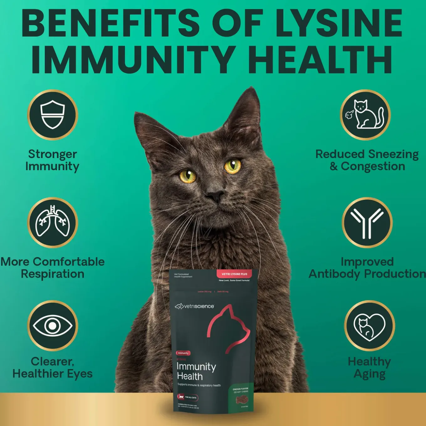 VetriScience Lysine Immunity Health Supplement for Cats