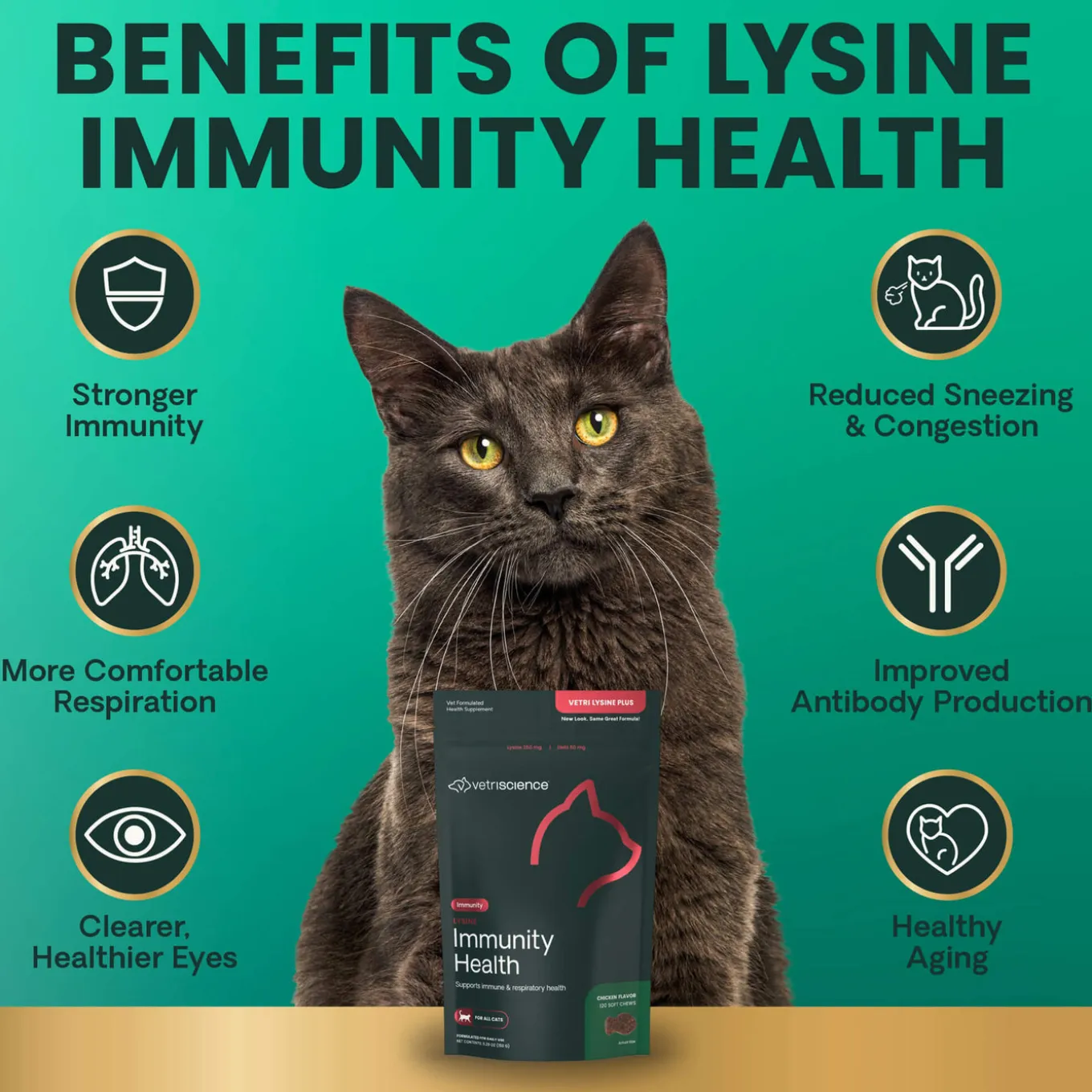 VetriScience Lysine Immunity Health Supplement for Cats