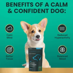 VetriScience Calm & Confident Dog Supplement