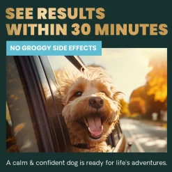 VetriScience Calm & Confident Dog Supplement