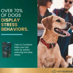 VetriScience Calm & Confident Dog Supplement
