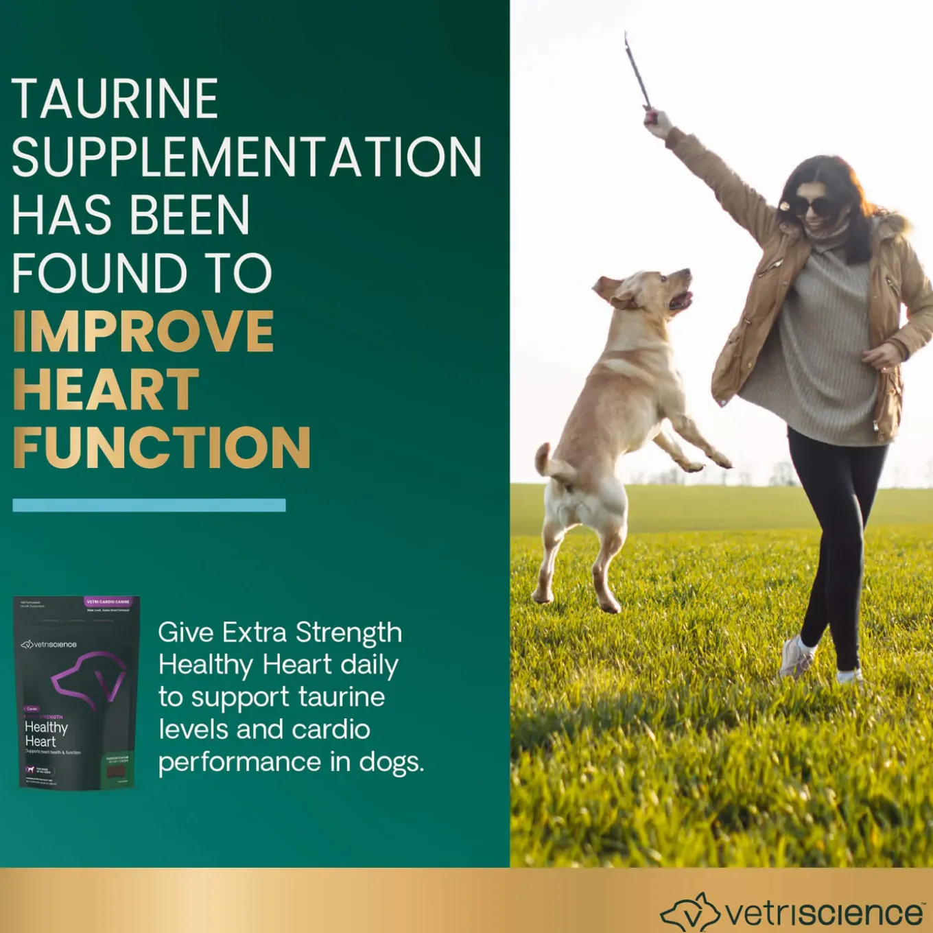 VetriScience Extra Strength Healthy Heart Supplement for Dogs