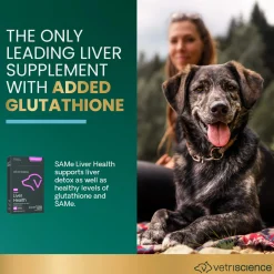 VetriScience SAMe Liver Health Supplement for Dogs & Cats