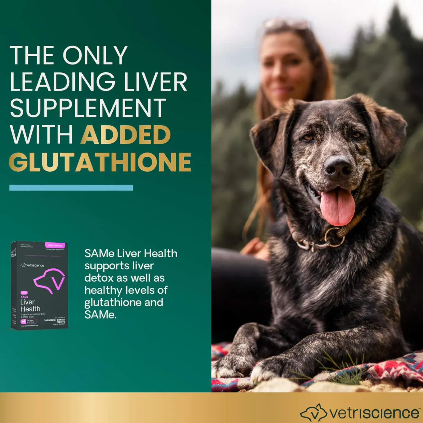 VetriScience SAMe Liver Health Supplement for Dogs & Cats