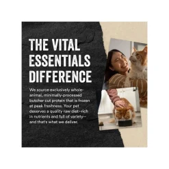 Vital Essentials Freeze Dried Mini Patties for Cats