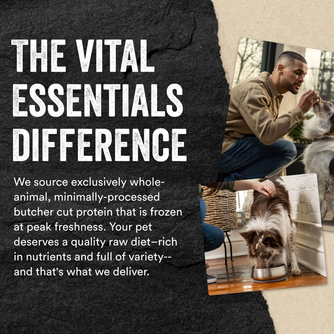 Vital Essentials Freeze Dried Mini Patties for Dogs