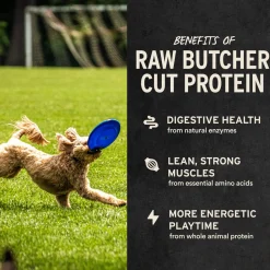 Vital Essentials Freeze-Dried Raw Bar Chews for Dogs Bulk Pack