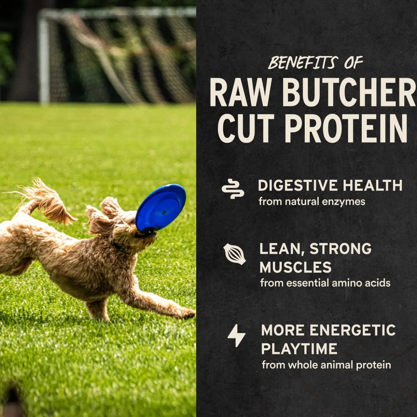 Vital Essentials Freeze-Dried Raw Bar Chews for Dogs Bulk Pack
