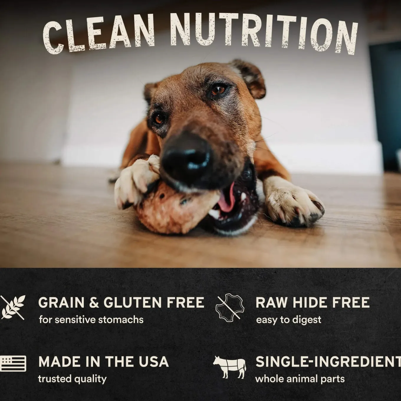 Vital Essentials Freeze-Dried Raw Bar Chews for Dogs Bulk Pack
