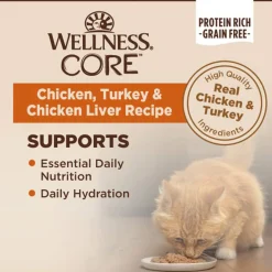Wellness CORE Classic Pate Grain-Free Wet Cat Food