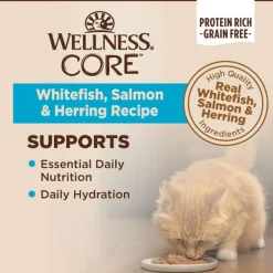 Wellness CORE Classic Pate Grain-Free Wet Cat Food