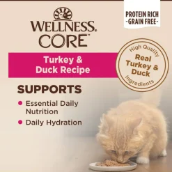 Wellness CORE Classic Pate Grain-Free Wet Cat Food