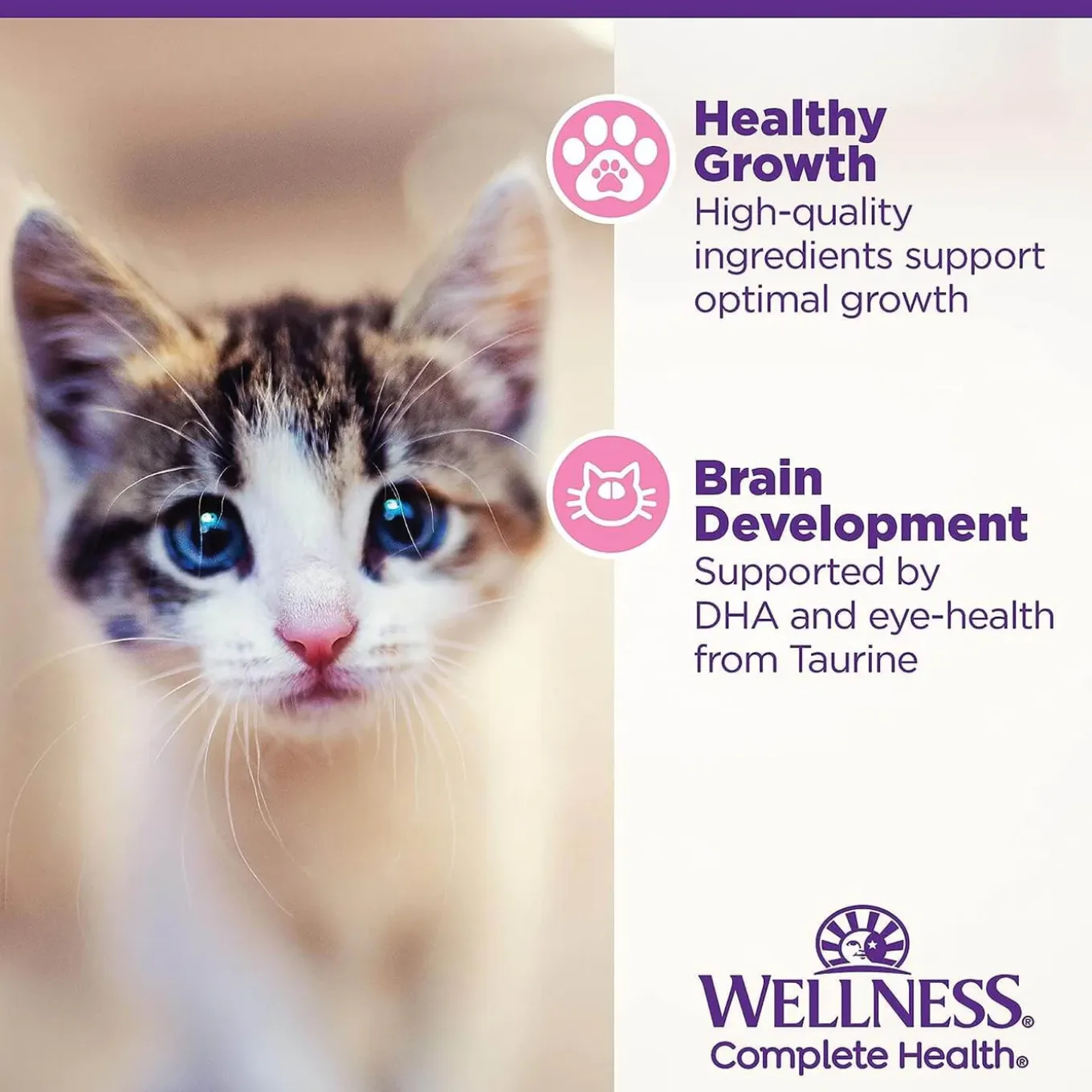 Wellness Grain-Free Canned Kitten Food