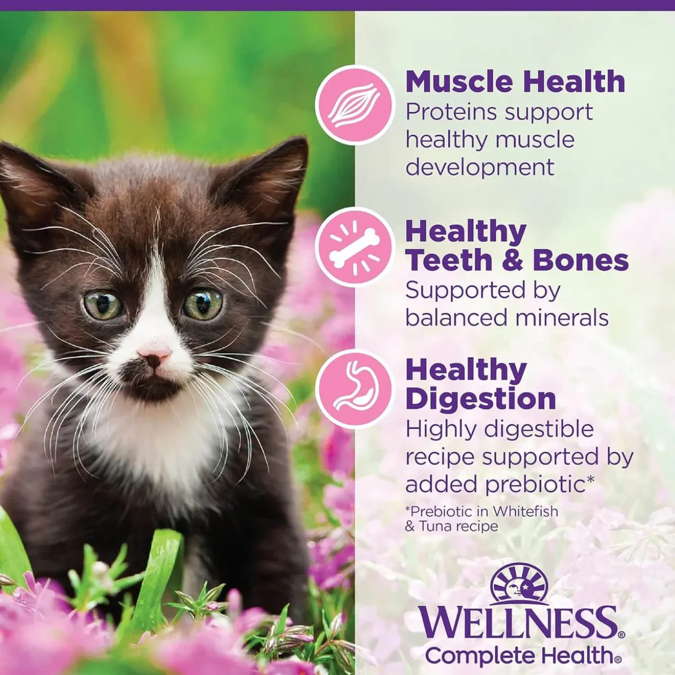 Wellness Grain-Free Canned Kitten Food