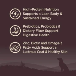 Wellness CORE Grain-Free Dry Dog Food