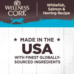 Wellness CORE Grain-Free Wet Dog Food