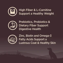 Wellness CORE Healthy Weight Grain-Free Dry Dog Food