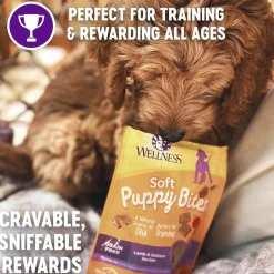 Wellness Just For Puppy Treats