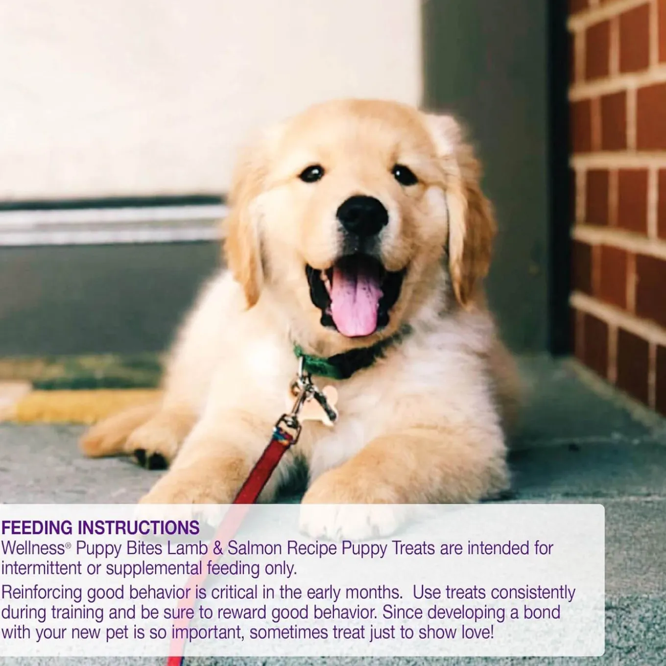 Wellness Just For Puppy Treats