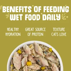 Weruva Grain-Free Canned Cat Food