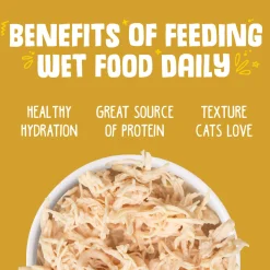 Weruva Grain-Free Canned Cat Food
