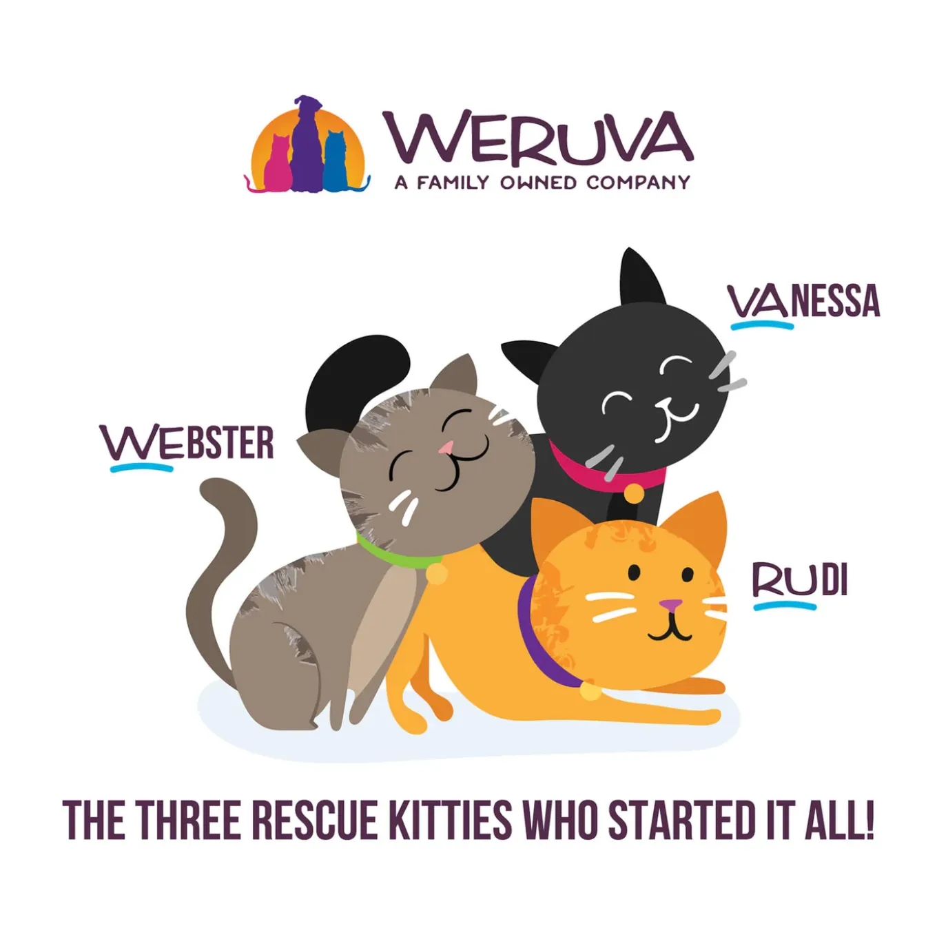 Weruva Wx Low Phosphorus Cat Food
