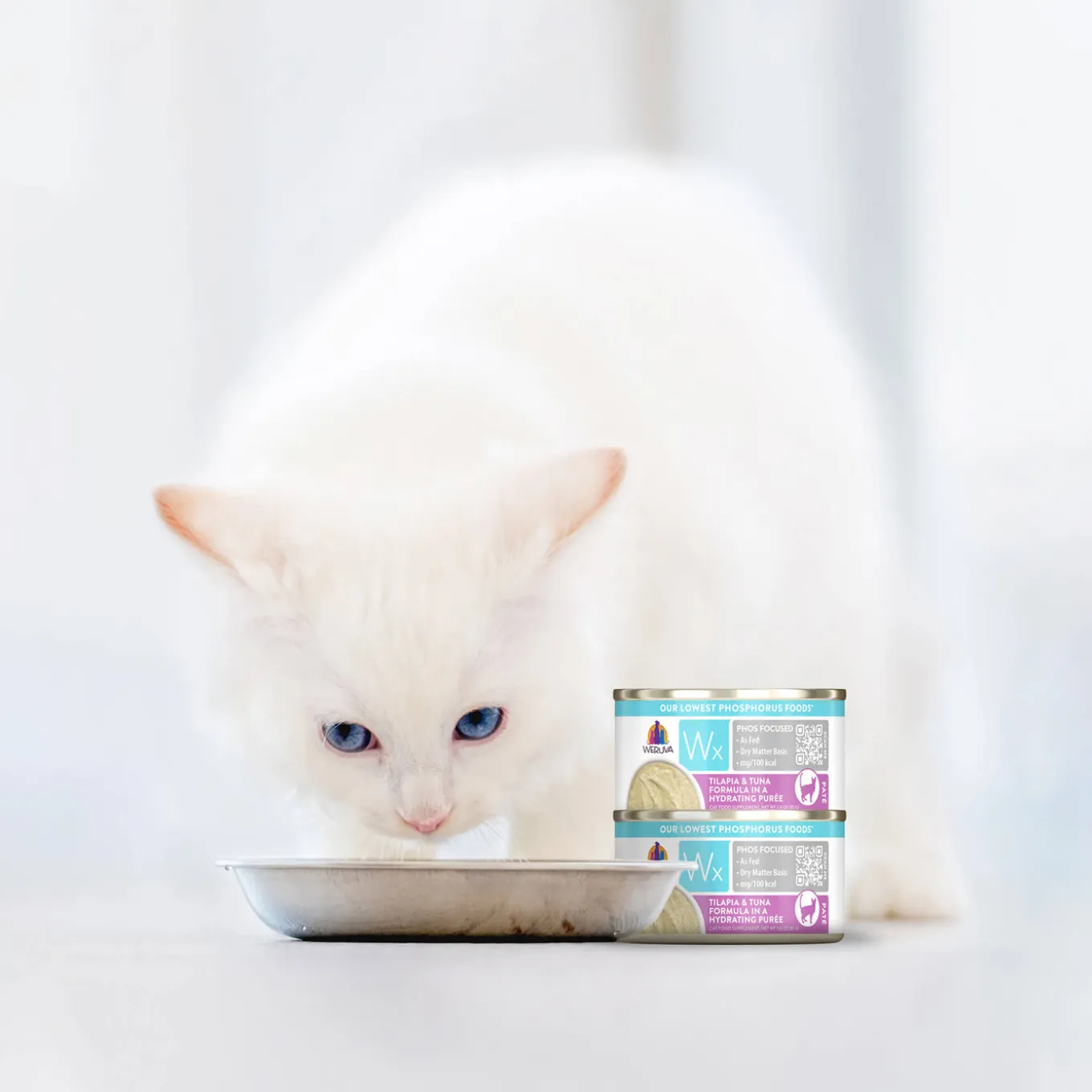 Weruva Wx Low Phosphorus Cat Food