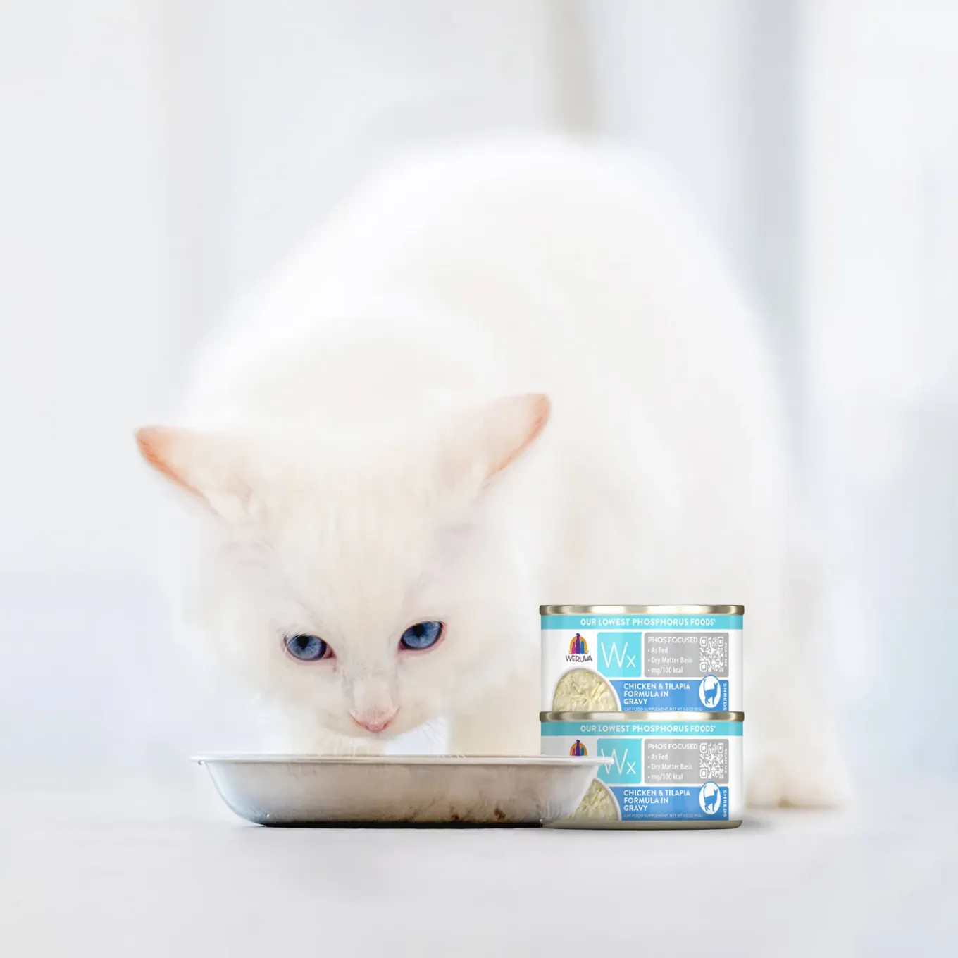 Weruva Wx Low Phosphorus Cat Food